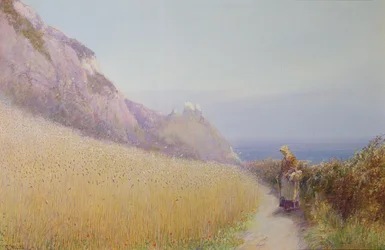 Een korenveld bij Sidmouth, Devon